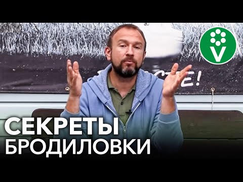 Видео: ЗЕЛЕНОЕ УДОБРЕНИЕ СТАНЕТ В 2 РАЗА ЦЕННЕЕ, если вы добавите в него это средство