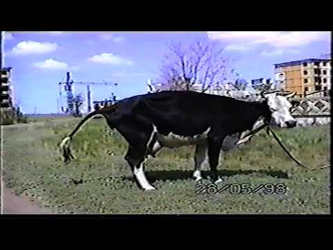Видео: Шахтинск 1998 год ( Из личного видеоархива)📼🎥📺🇰🇿