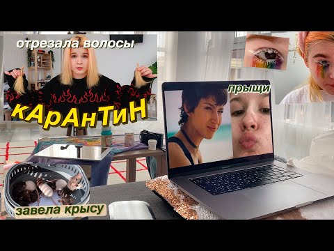 Видео: как я живу на кАрАнТиНе.