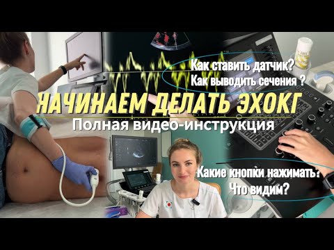 Видео: Эхокардиография, которая получится У КАЖДОГО! Видео-инструкция как НАЧАТЬ делать УЗИ сердца!