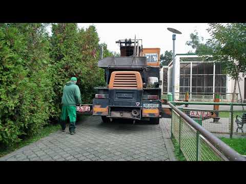 Видео: 2025.11.13 Грузия. Аджария. Батуми. Зоопарк. Видео №10