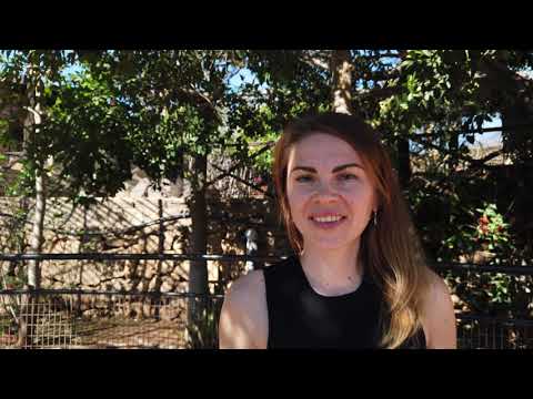 Видео: Тенерифе, Манки парк на Тенерифе. Парк обезьян и лемуров на Тенерифе. Monkey Park in Tenerife.