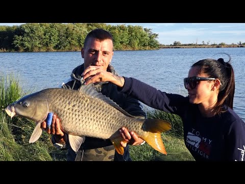 Видео: Първите есенни шарани на яз.'' Борец'' 2 - ра част_digitalstudiobg