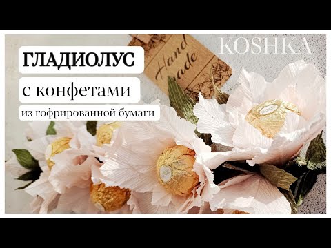 Видео: ГЛАДИОЛУС ИЗ ГОФРИРОВАННОЙ БУМАГИ С КОНФЕТАМИ // KOSHKA