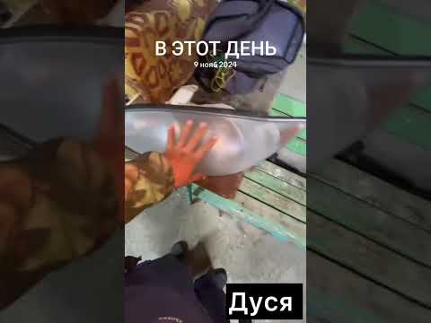 Видео: #дусяшым 