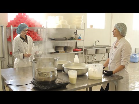 Видео: Как открыть сыроварню: секреты и тонкости