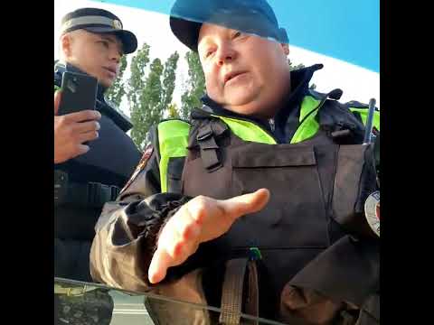 Видео: 7 июня 2023 г.