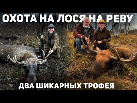 Видео: Охота на лося на реву | ДВА ТРОФЕЯ ЗА ОДИН ДЕНЬ
