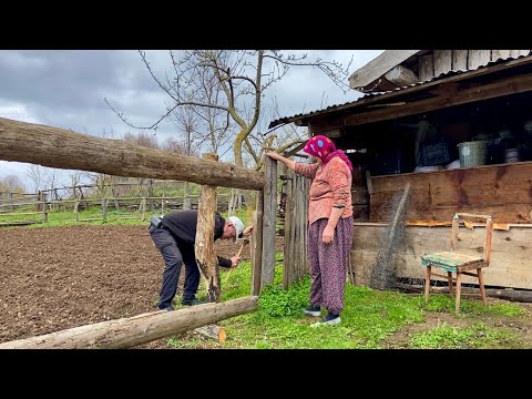 Видео: Деревенская жизнь пожилой пары в горах Турции.