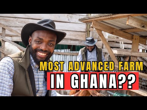 Видео: КАК ЭТА ФЕРМА МЕНЯЕТ ЖИВОТНОВОДСТВО В АФРИКЕ