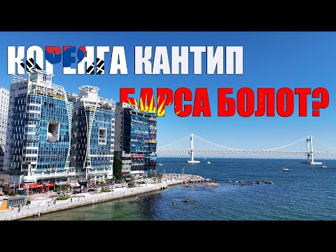 Видео: Кореяга кантип барса болот? жумушка баруунун мыйзамдуу жолу