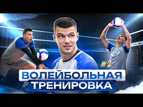Видео: Волейбольная тренировка #2