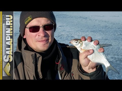 Видео: Рыбалка в глухозимье на Можайском водохранилище [salapinru]