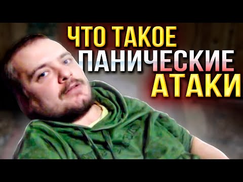 Видео: БОБЕР УКУСИЛ ЗА РУКУ \ ПРО ОБЩЕНИЕ С МЭДОМ \ ПРО СВОИ ПСИХИЧЕСКИЕ ЗАБОЛЕВАНИЯ \ ПРО УХОД С ЮТУБ