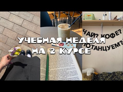 Видео: НЕДЕЛЯ ИЗ ЖИЗНИ СТУДЕНТА НГЛУ | учеба, чтение, комната в общаге, скуратов, работа, ярмарка и танцы