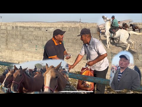Видео: Жалал Абад жылкы базар Алынган Аттар28 июня 2025 г.