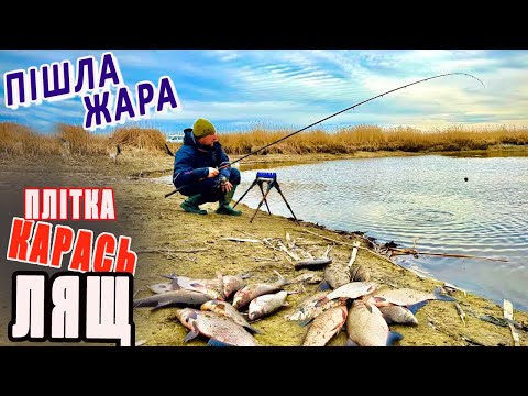 Видео: ЦЯ РІЧКА КИПИТЬ ВІД РИБИ! Фідерна риболовля з НОЧІВЛЕЮ на Сулі! Клює ВСЕ - ЛЯЩ, КАРАСЬ, ПЛІТКА!