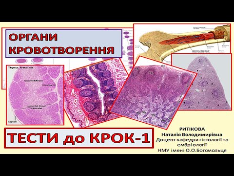 Видео: КРОК 1 ОРГАНИ КРОВОТВОРЕННЯ