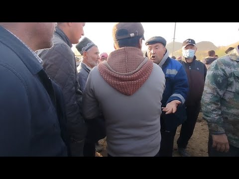 Видео: Молбозори Панҷакент нарху навои чорво.02 11 2025.