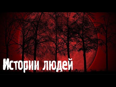Видео: ИСТОРИИ на ночь ИЗ ЖИЗНИ. Страшные. Мистические. Творческие истории. Хоррор