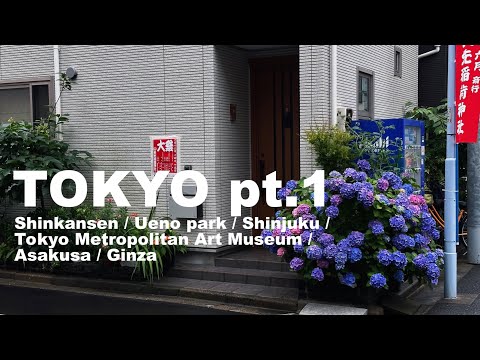 Видео: TOKYO | Vlog | Впервые в Японии, исследуем Токио