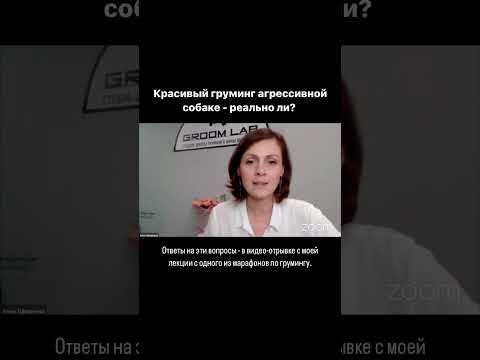 Видео: Красивый груминг агрессивной собаке - реально ли?