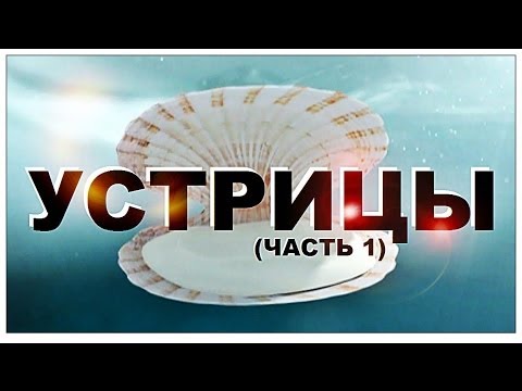 Видео: Галилео. Устрицы (часть 1)