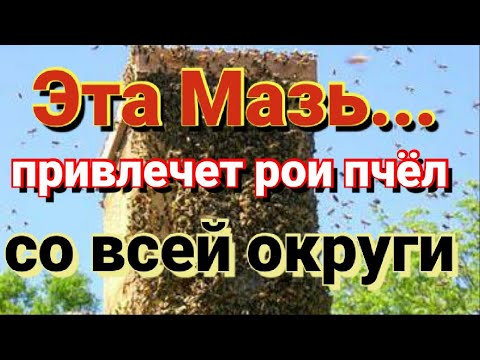 Видео: Мазь для привлечения роев в ваши ловушки. Пчеловодство начинающим.