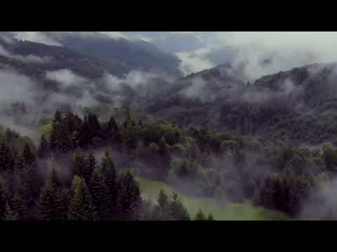 Видео: 🎶 😎👍Карпатський звук у тиші ранній 