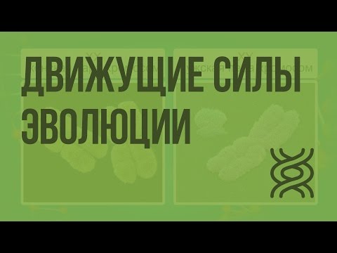 Видео: Движущие силы эволюции: наследственность, изменчивость, борьба за существование и естественный отбор