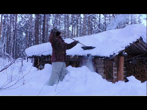 Видео: Новый Год в избушке. Жировки лося. Растопка для печки.