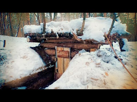 Видео: В ЛЕС ПО ГРИБЫ и не только| ДВОЕ СУТОК  ЖИВУ В ИЗБУШКЕ!