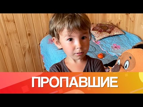 Видео: Невероятная история пропавшей матери с сыном в лесу. На реальных событиях. Пропавшие