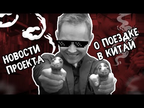 Видео: Чайная церемония без чабани. Шу пуэр за 700К | Art of Tea, китайский чай