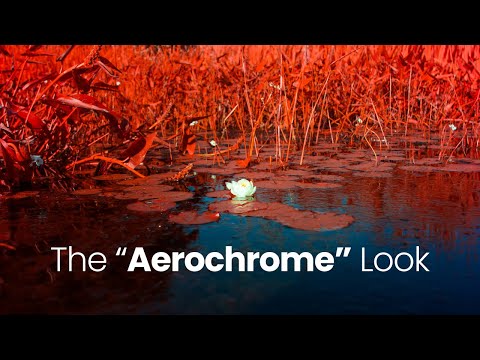Видео: ЛУЧШИЙ ИК-ФИЛЬТР IRCHROME | Digital Aerochrome