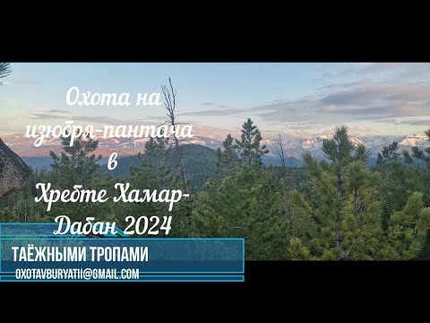 Видео: Охота на изюбря-пантача в хребте Хамар-Дабан. Бурятия 2025