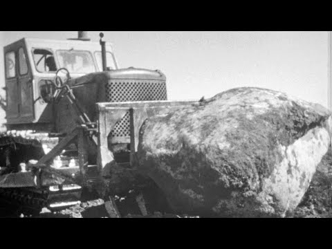 Видео: Семеноводы из "Красной Балтики", 1974