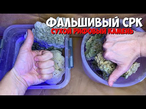 Видео: Фальшивый сухой рифовый камень 🪨 | Не попадитесь!!!