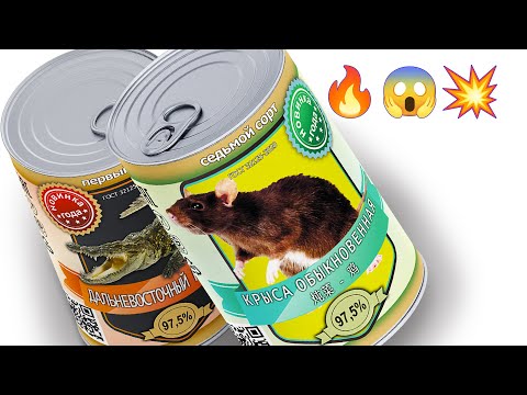 Видео: 🔥 5 БЕЗУМНЫХ ИДЕЙ ДЛЯ РОЗЫГРЫШЕЙ ДРУЗЕЙ (Бесплатные этикетки внутри)