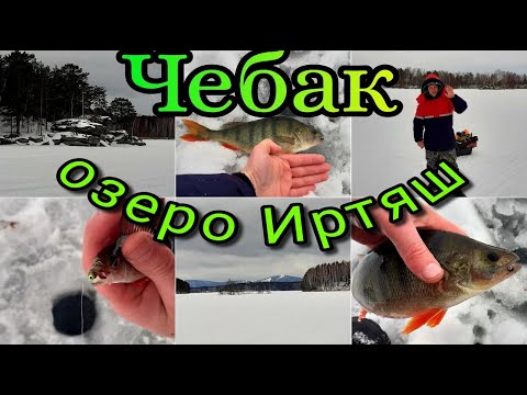 Видео: Рыбалка февраль 2020/Наловил чебака в глухозимье/Озеро Иртяш/Рыбалка в Челябинской области