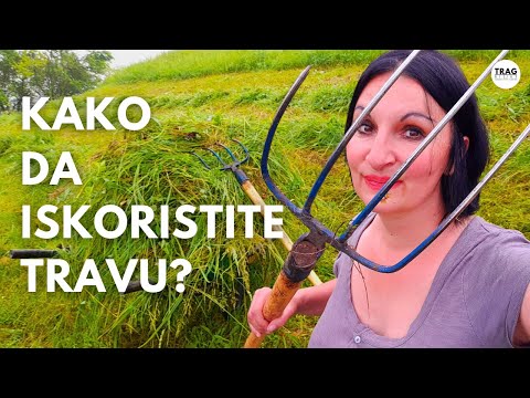 Видео: КАК ПОЛЬЗОВАТЬСЯ ТРАВОЙ?