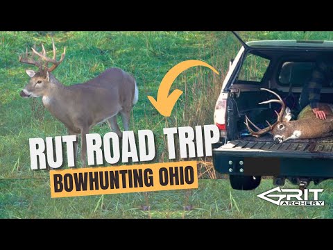 Видео: ЗОВЕМ ОЛЕЙ К ОСНОВАНИЮ НАШЕГО ДЕРЕВА!!! (Охота на эпическую гонку в Огайо с луком) 4k