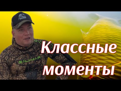 Видео: Неожиданный выход белого амура среди толстолобиков. Подводная охота.