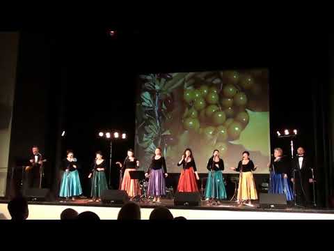 Видео: "Облепиха" - Вольница Лиепая Латвия