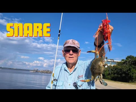 Видео: Поймает ли эта штука краба?