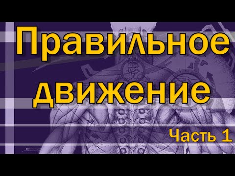 Видео: Что такое правильные упражнения? Часть 1/3  [S02E10]