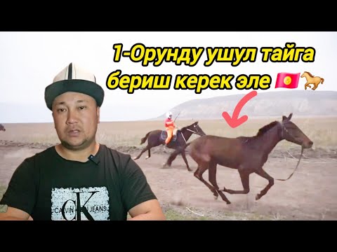 Видео: Урматтуу эли журт ушул тайга 1-орунду бериш керек эле туурабы???