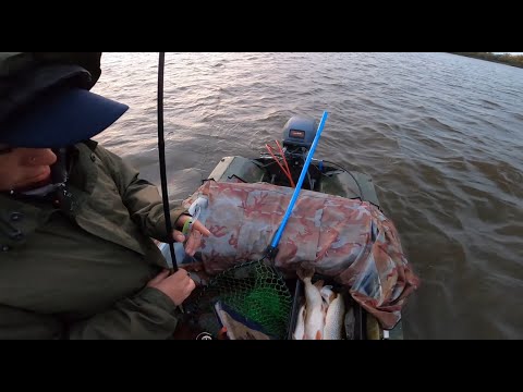 Видео: Рыбалка тролингом в плохую погоду. Наловили кучу рыбы