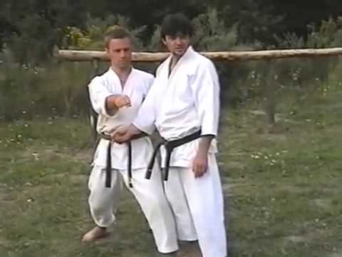 Видео: Разбор техники удара ГИАКУ ЦУКИ | Основной удар в традиционном карате-до