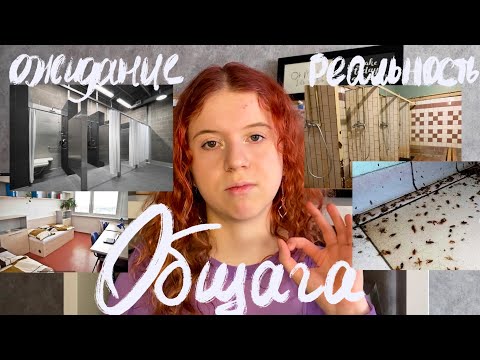 Видео: ВСЕ ПРО ОБЩЕЖИТИЕ СПбГАСУ | тараканы, душ в подвале, как я переезжала